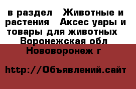  в раздел : Животные и растения » Аксесcуары и товары для животных . Воронежская обл.,Нововоронеж г.